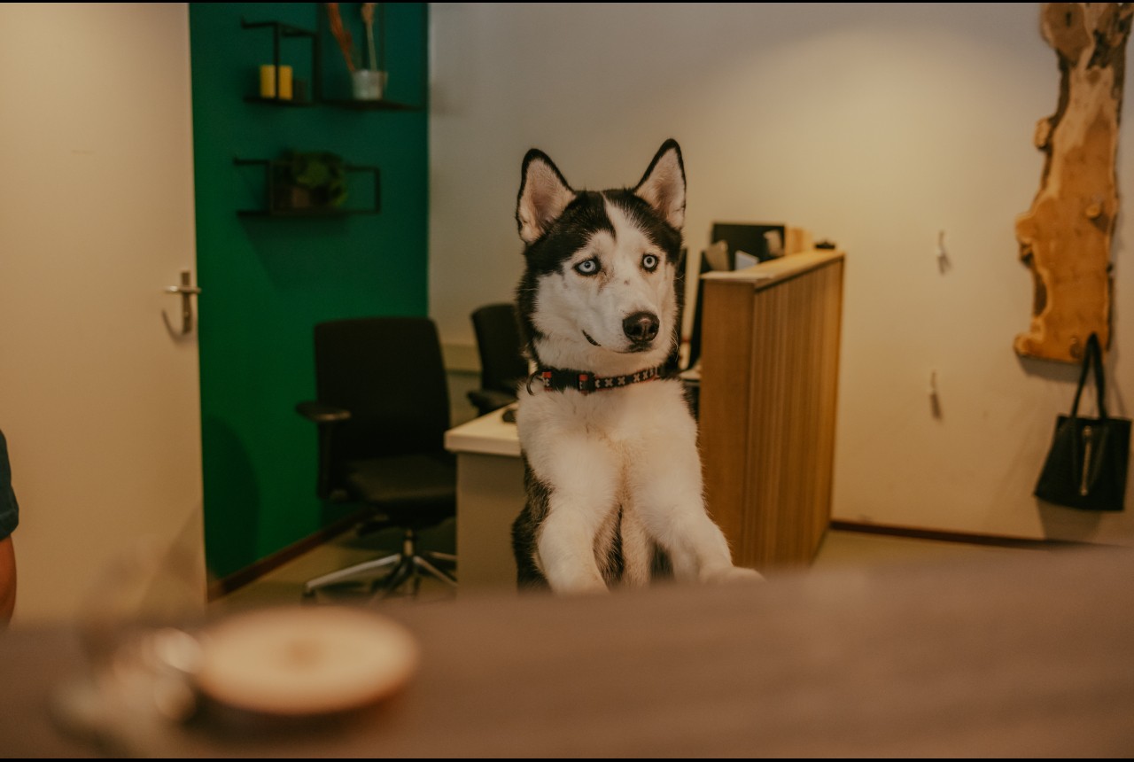 item.drieluik_photo3.images[0]