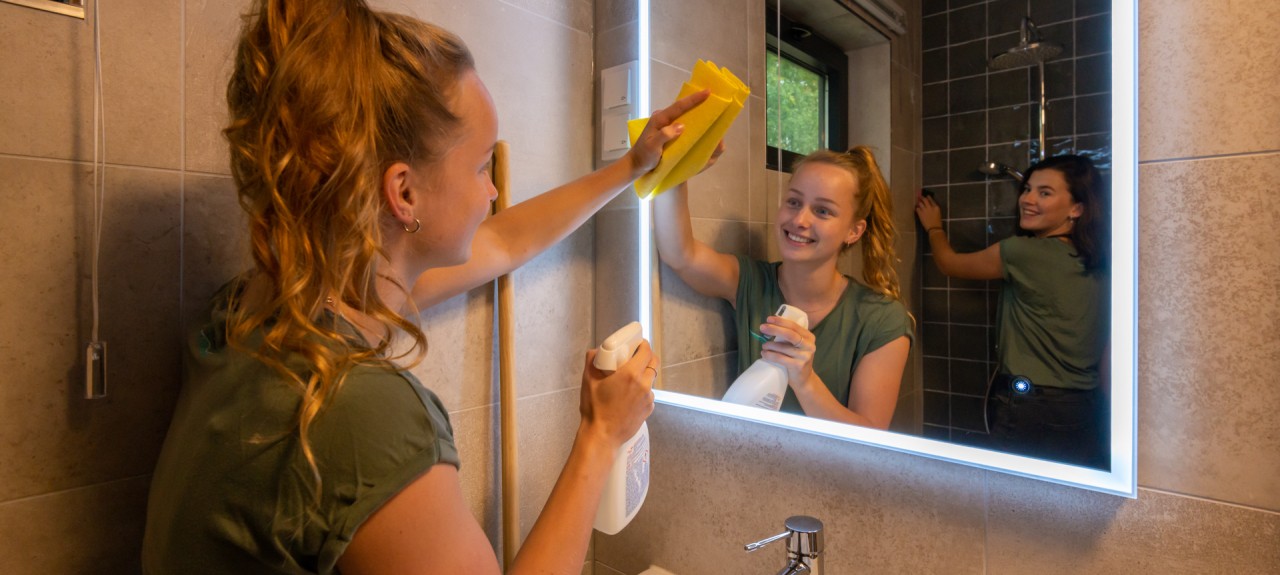 cleaning_HD_lang_13.jpg