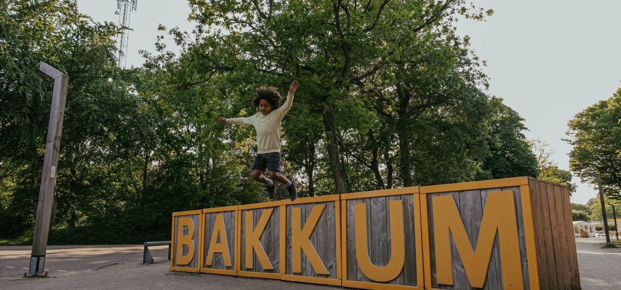 Bakkum blokken.jpg