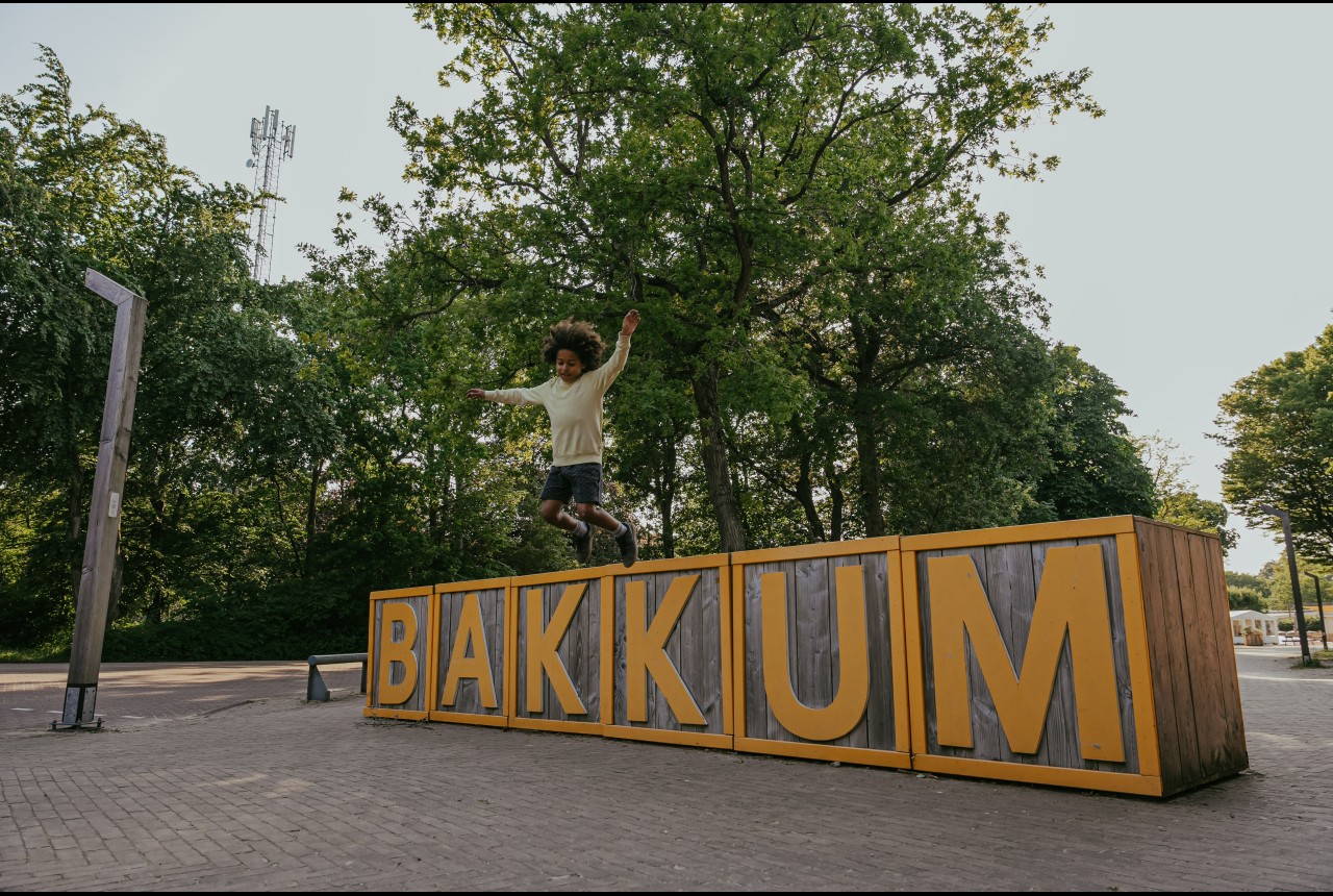Bakkum blokken.jpg