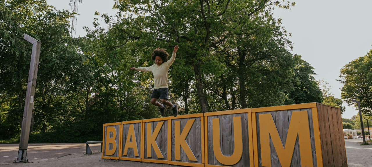 Bakkum blokken.jpg