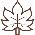 Herfst - Kennemer Duincampings.png