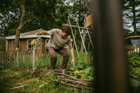 Mack in de moestuin Bakkum.jpg