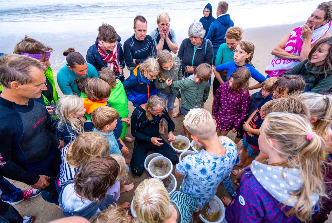 Highlight activiteiten-Maarten Zwetsloot -52.jpg